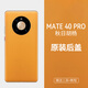適用華為mate40后蓋原廠(chǎng)mate40pro純原裝售后玻璃全新手機電池殼 【mate40pro秋日胡】原裝后蓋