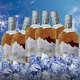 烏氈帽凍藏冰雕 花雕酒清爽半干型480ml*6瓶整箱 9度   480mL 6瓶 整箱裝
