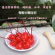 鹿悠列櫻桃罐頭去籽紅綠小櫻桃罐頭蛋糕點(diǎn)綴裝飾品非零食商用調酒烘焙 【中果】1瓶紅色櫻桃 710g 有枝去籽櫻桃/蛋糕雞尾酒/餐飲擺盤(pán)裝飾用
