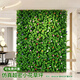 悠梵萌假草皮仿真草坪人造草皮尤加利植物背景墻綠化門(mén)頭店招裝飾花墻