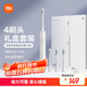米家小米電動(dòng)牙刷T302成人/學(xué)生 4種凈齒模式 150天續航 4支刷頭 銀灰色生日禮物 送男女友禮物