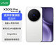 vivo X300 Pro 全新旗艦手機 天璣9500 新機2025上市+ 5G新品 X300 Pro 簡(jiǎn)單白 16GB+512GB (曬單贈藍牙耳機) 官方標配