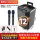 萬(wàn)利達（Malata）廣場(chǎng)舞音響大功率震撼重低音便攜式戶(hù)外k歌拉桿音箱專(zhuān)業(yè)舞臺演繹設備卡拉ok聲卡直播內錄一體機 M+9017雷神L12(12吋低音)+雙U段無(wú)線(xiàn)話(huà)筒送大禮包