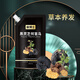 侯博士黑靈芝何首烏洗發(fā)水溫和植物萃取男女 1袋