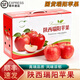 桃西村陜西瑞陽(yáng)蘋(píng)果【順豐速發(fā)】白水瑞陽(yáng)蘋(píng)果瑞雪甜脆糖心新鮮水果禮盒 4.5斤 精選大果【單果80mm+】