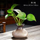 茶臺擺件 植物復古粗陶花瓶禪意古樸客廳花插陶瓷小花器水培器皿 荷口瓶