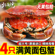 北海灣 英國熟凍面包蟹 原裝進(jìn)口 黃道蟹鮮活熟凍滿(mǎn)黃 節日禮品年貨 4只裝 【凈重400-600g/只】