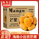 橙尚宮海南小臺農芒果新鮮小臺芒當季特產(chǎn)熱帶水果現摘雞蛋芒果整箱 凈重3斤【單果60-100g】嘗鮮中果