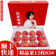 陜西特產(chǎn)白水蘋(píng)果洛川銅川紅富士蘋(píng)果脆甜蘋(píng)果產(chǎn)地發(fā)新鮮包郵水果 12枚85mm閆妮禮盒裝（8斤+）