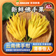 沐瑾云南新鮮佛手果柑香櫞黃色佛手水培觀(guān)賞清供把玩聞香食用現貨速發(fā) 5斤丨優(yōu)選-含箱 果型隨機-青果-不帶樹(shù)枝-普運