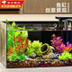 蘭憐魚(yú)缸造景仿真水草套裝環(huán)保樹(shù)脂柔韌不傷魚(yú)水族箱布景裝飾擺件 10件混合裝