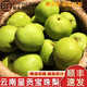 傾睦云南呈貢寶珠梨【順豐速發(fā)】萬(wàn)溪梨鎮古樹(shù)梨貢梨梨子新鮮水果禮盒 8斤 精選中果【11-12顆】禮盒