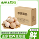 云依禾農莊 散養雞蛋新鮮現撿土雞蛋谷物蟲(chóng)草柴雞蛋笨雞蛋生鮮 【鮮雞蛋】16枚