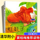 故事書(shū)紅鞋子兒童書(shū)注音版繪本湯素蘭一年級課外閱讀書(shū)籍的帶拼音童書(shū)明天出版社班主任閱讀版本1年級少兒書(shū)