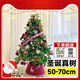 花e流2025新款家用真圣誕樹(shù)真樹(shù)ins風(fēng)室內室外裝飾大型小型諾貝松盆栽 圣誕樹(shù)真樹(shù) 50-70cm 送加侖盆+裝飾