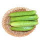 海陽(yáng)白玉黃瓜  生吃水果黃瓜  新鮮小青瓜農家自種  源頭直發(fā) 凈重3斤