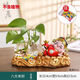 LZJV創(chuàng  )意財神綠蘿水培花瓶透明玻璃器皿魚(yú)缸桌面客廳辦公室擺件裝飾品 八方來(lái)財+底座+花瓶/贈彩石 大號