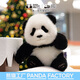 熊貓工廠(chǎng)大頭系列仿真愛(ài)姐熊貓公仔毛絨玩具生日禮物女生高級感吉祥物 【禮盒裝】大頭小愛(ài)-常規款