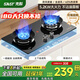 先科（SAST）燃氣灶天然氣 煤氣灶雙灶 定時(shí)家用嵌入式灶具 液化氣燃氣灶 鴛鴦灶 臺嵌兩用 猛火爐具 【九腔鴛鴦】防風(fēng)聚焰/熄保/童鎖（旗艦熱售） 天然氣
