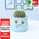 仙人球盆栽辦公室桌植物室內開(kāi)花多肉綠植植物萬(wàn)重山仙人掌z6 金冠【表情盆】土+鋪面 含盆