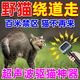 超聲波驅貓器驅貓神器室外長(cháng)效專(zhuān)用強力效驅趕防貓爬車(chē)驅野貓克星 買(mǎi)2送1【3支】隨插隨用