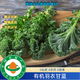 南京國環(huán)有機認證有機羽衣甘藍順豐現摘現發(fā)，無(wú)農殘安心綠色蔬菜 2斤有機羽衣甘藍