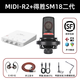 midiplusR2迷笛外置聲卡電腦手機通用網(wǎng)紅主播直播唱歌專(zhuān)業(yè)錄音配音套裝 迷笛R2+得勝SM18二代+一對一精調