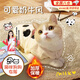 曇蓓漫貓咪衣服冬季布偶貓比熊泰迪加絨保暖背心無(wú)袖寵物貓貓馬甲秋冬裝 奶牛馬甲款-加絨 L碼（建議8-11斤）