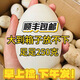 12枚特大生鵝蛋220-260克雙黃蛋正宗土鵝蛋農家散養新鮮孕婦精品 12枚裝140-160克 （雙黃蛋）