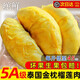 繽鮮泰國金枕榴蓮肉新鮮順豐包郵冷凍果肉進(jìn)口樹(shù)熟非貓山榴蓮蜜王商用 5A級泰國金枕榴蓮肉【核小肉厚】?jì)糁?1000g