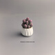 靠森（Kaooseen）無(wú)聊了擺幾棵盆栽仙人掌多肉迷你工位辦公桌小擺件可愛(ài)情緒 小盆栽 嬰兒手指