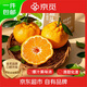 京覓四川春見(jiàn)耙耙柑粑粑柑新鮮水果凈重4.5斤單果250g+源頭直發(fā)包郵