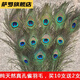 天然真孔雀尾羽羽毛翎尾大眼睛 客廳擺件花瓶插花裝飾品diy配件孔 90-100厘米：優(yōu)選大眼睛12支