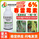 6%春雷霉素殺菌劑春雷霉素素春蕾雷霉素細菌性水稻稻瘟病農用農藥 500g