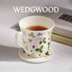 Wedgwood【新年禮物】野草莓帶蓋馬克杯咖啡杯精致杯子茶杯實(shí)用水杯 野草莓帶蓋馬克杯1個(gè)280ml