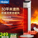 海爾（Haier）取暖器暖風(fēng)機家用電暖器遙控電暖氣速熱節能直流雙風(fēng)輪熱風(fēng)機輕音立式小太陽(yáng)烤火爐臥室辦公暖風(fēng)扇 【升級遙控款+35°恒溫】HNF-S2050A