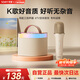 索愛(ài)（soaiy）SK2話(huà)筒麥克風(fēng)k歌麥克風(fēng)音響一體機無(wú)線(xiàn)藍牙音箱唱歌專(zhuān)用神器家庭ktv音響套裝兒童話(huà)筒家用k歌