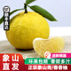 盷果【順豐直達】正宗象山青柚子春香金柚柑橘黃金貢柚橘子甜桔柚當季 5斤/精選裝(均勻大果）推薦