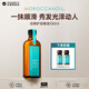 摩洛哥油經(jīng)典護發(fā)精油100ml 修護干枯受損進(jìn)口生日禮物
