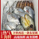 匠鮮禮舟山熱氣海鮮大禮包禮盒送爸媽高檔東海寧波象山溫州鮮活新鮮水產(chǎn)