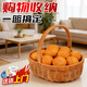 安達通 竹籃籃子果籃手提雞蛋籃野餐籃編織筐菜籃子 仿藤南瓜提籃小號