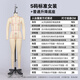 創(chuàng  )藝人臺跨境歐美服裝人臺假人模特女全身希音TEMU立裁模特架 S碼標準女裝＋普通升降底座