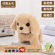 Honey Joy仿真毛絨兒童玩具狗狗會(huì )走路會(huì )叫電動(dòng)小狗寵物狗金毛新年禮物