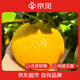 京覓江西贛南會(huì )昌桔柚 9斤黃金貢柚 年貨甜橘子大果75mm+水果源頭直發(fā)