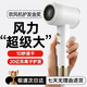 【已售100萬(wàn)+】飛利蒲(PHlLlPS)同款高速電吹風(fēng)機家用靜音負離子大功率不傷發(fā)2400W恒溫護發(fā)吹風(fēng)筒 【白金色Pro】2400W大功率+大風(fēng)力快速干發(fā)