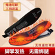 德歐特 DEOTSY D智能無(wú)線(xiàn)遙控三擋調溫加熱鞋墊充電發(fā)熱鞋墊男女冬季防寒暖腳神器 10代【36-42碼可裁剪】全腳掌加熱