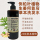 胖東來(lái)同款28味草本配方植物精萃提取洗發(fā)露側柏葉植物生姜何首烏洗發(fā)水 1瓶28味草本植物洗發(fā)水【去屑止癢】