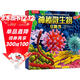 樂(lè )樂(lè )趣科普立體書(shū)：神秘微生物[3-6歲]兒童3D立體揭秘翻翻書(shū)機關(guān)書(shū)認知小百科兒童科普  