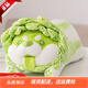 LittleCuCu蔬菜精靈菜狗娃娃抱枕睡覺(jué)玩偶白菜狗公仔毛絨玩具女友小孩禮物 經(jīng)典趴姿公仔55厘米 帶防偽標，尺寸以吊牌為準