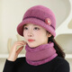 察今新款中老年人冬天女款帽子老太太媽媽保暖加絨羊毛呢盆帽洋氣百搭 毛毛花大檐-粉色【單帽】
